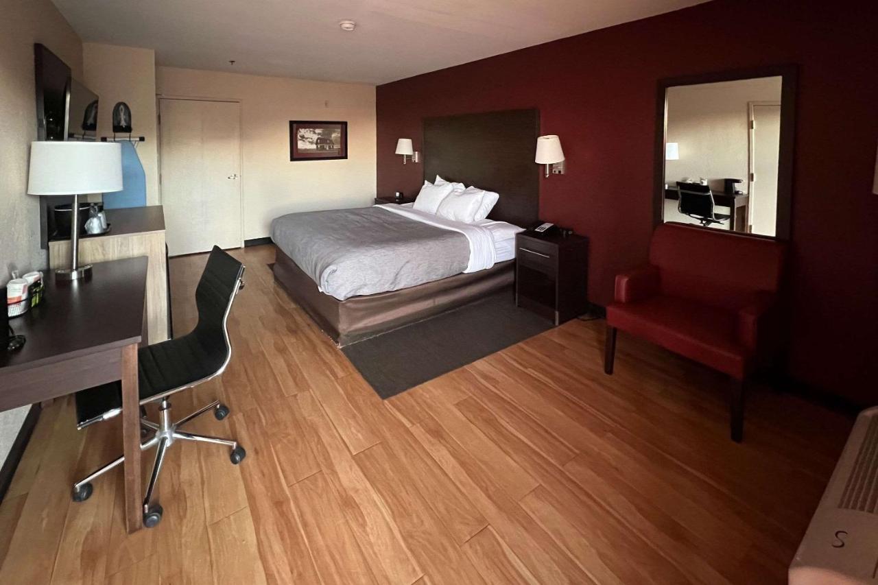 Quality Inn & Suites I-10 Near Fiesta Texas サンアントニオ エクステリア 写真